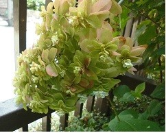 f:id:cangael:20170720093009j:image:right