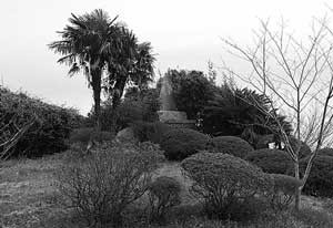 f:id:cangael:20170808152355j:image:right f:id:cangael:20170808152355j:image:right