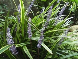 f:id:cangael:20170917130424j:image:right f:id:cangael:20170917130424j:image:right