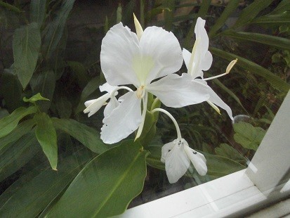 f:id:cangael:20170925072559j:image f:id:cangael:20170925072559j:image