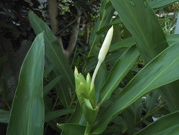 f:id:cangael:20170925072808j:image f:id:cangael:20170925072808j:image