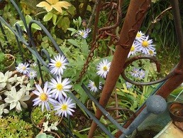 f:id:cangael:20171031101415j:image:right f:id:cangael:20171031101415j:image:right