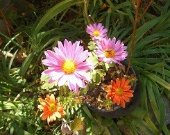 f:id:cangael:20171107103722j:image:left f:id:cangael:20171107103722j:image:left