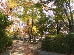 f:id:cangael:20171109125630j:image:left
