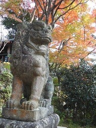 f:id:cangael:20171117145434j:image:left