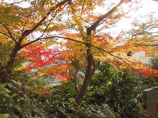 f:id:cangael:20171117145518j:image