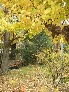 f:id:cangael:20171121120933j:image:right f:id:cangael:20171121120933j:image:right