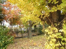 f:id:cangael:20171121120954j:image:right f:id:cangael:20171121120954j:image:right