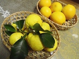 f:id:cangael:20171122192337j:image:left