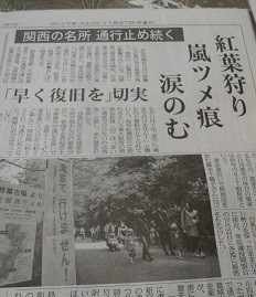 f:id:cangael:20171127165740j:image:right f:id:cangael:20171127165740j:image:right