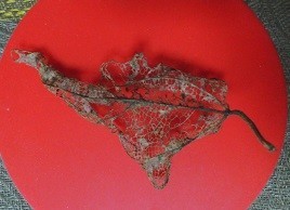 f:id:cangael:20171201095013j:image:right