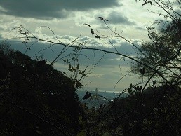 f:id:cangael:20171201130713j:image