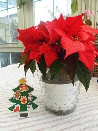 f:id:cangael:20171218134807j:image:right