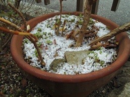 f:id:cangael:20180111141606j:image f:id:cangael:20180111141606j:image