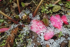 f:id:cangael:20180111141644j:image:left f:id:cangael:20180111141644j:image:left