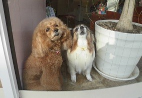 f:id:cangael:20180111142140j:image:left f:id:cangael:20180111142140j:image:left