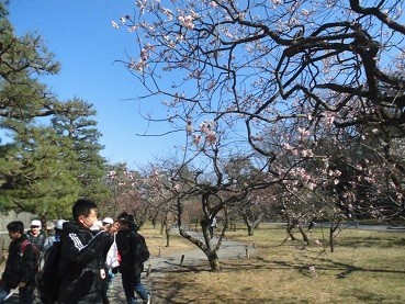 f:id:cangael:20180302140054j:image:left