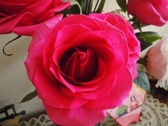 f:id:cangael:20180303091139j:image:right