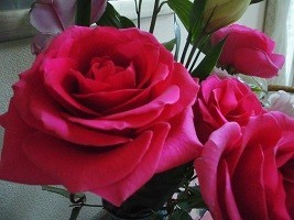 f:id:cangael:20180303091146j:image:left