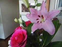 f:id:cangael:20180304120608j:image:right