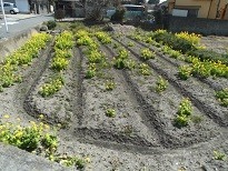 f:id:cangael:20180314111943j:image