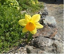 f:id:cangael:20180314112123j:image:left