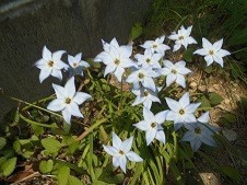 f:id:cangael:20180401114237j:image:right