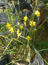 f:id:cangael:20180403125809j:image:right