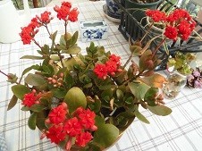 f:id:cangael:20180407150817j:image:right f:id:cangael:20180407150817j:image:right