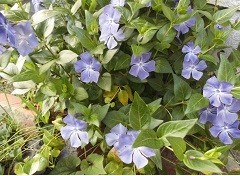 f:id:cangael:20180408161426j:image:right f:id:cangael:20180408161426j:image:right