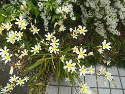 f:id:cangael:20180427133258j:image:right f:id:cangael:20180427133258j:image:right