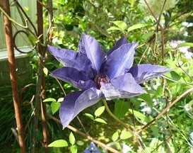 f:id:cangael:20180430083225j:image