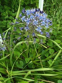 f:id:cangael:20180430133908j:image