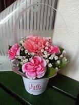 f:id:cangael:20180512092838j:image:left