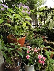 f:id:cangael:20180607082908j:image:left