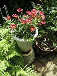 f:id:cangael:20180607135305j:image:right f:id:cangael:20180607135305j:image:right