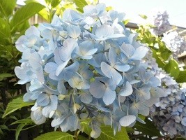 f:id:cangael:20180609153905j:image:right f:id:cangael:20180609153905j:image:right