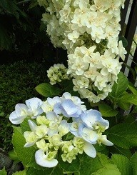 f:id:cangael:20180612154812j:image:right