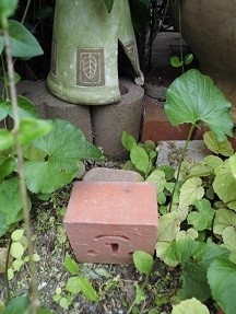 f:id:cangael:20180618114624j:image