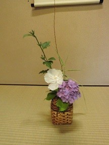 f:id:cangael:20180622143236j:image:right f:id:cangael:20180622143236j:image:right