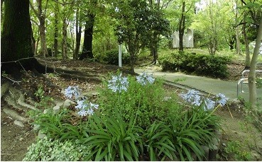 f:id:cangael:20180630083411j:image:right