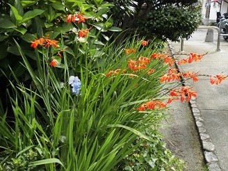 f:id:cangael:20180630083734j:image:left