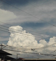 f:id:cangael:20180630133218j:image:right f:id:cangael:20180630133218j:image:right