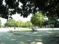 f:id:cangael:20180719153429j:image:right