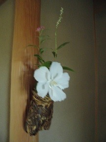 f:id:cangael:20180727142415j:image:left f:id:cangael:20180727142415j:image:left