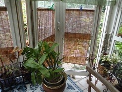 f:id:cangael:20180825063128j:image:right