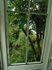 f:id:cangael:20180825063255j:image:right