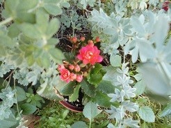 f:id:cangael:20180919090928j:image:right f:id:cangael:20180919090928j:image:right