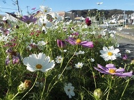 f:id:cangael:20181008150812j:image:right