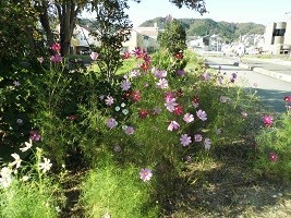 f:id:cangael:20181008151114j:image:right